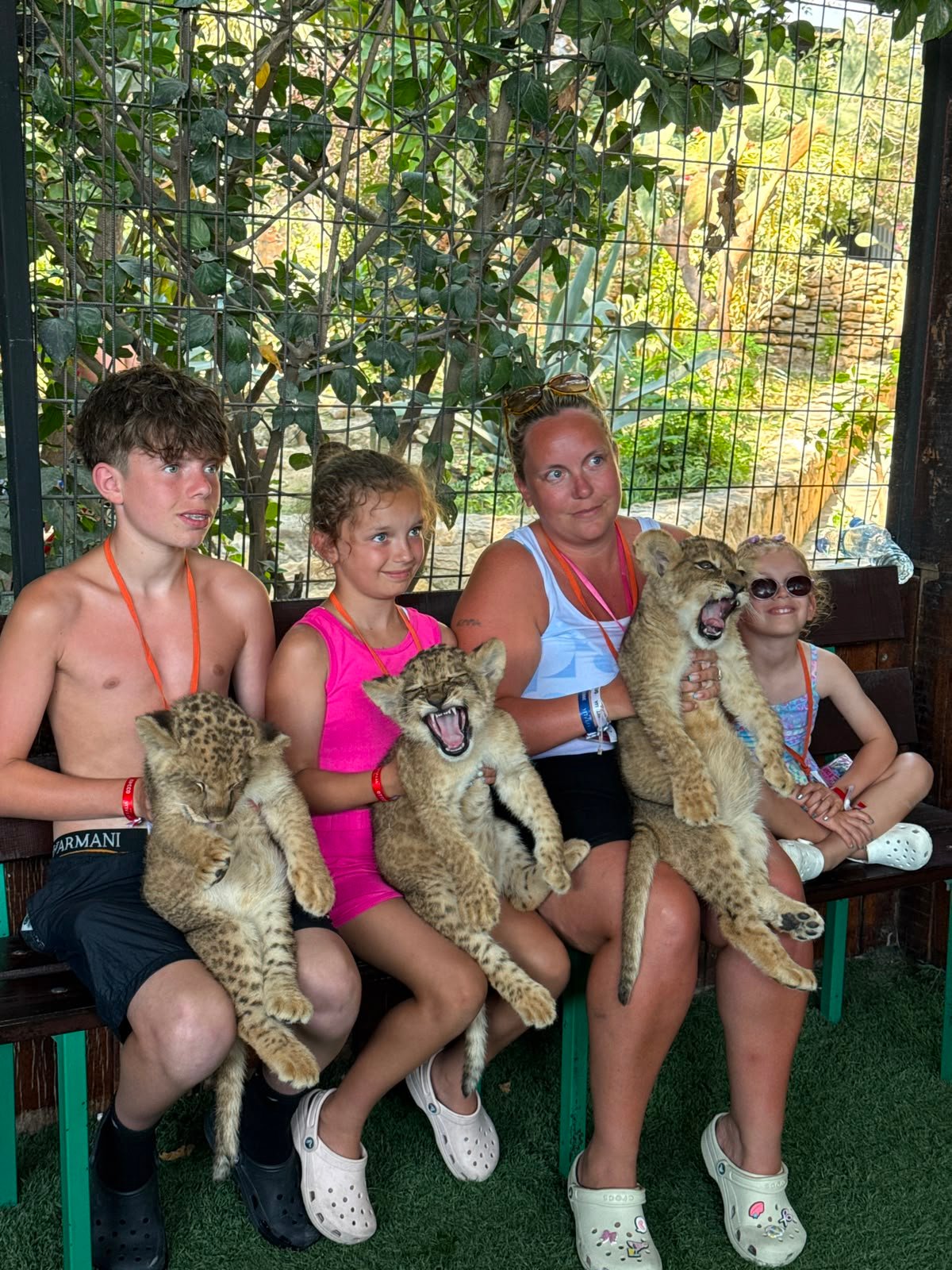 Aslan Safari