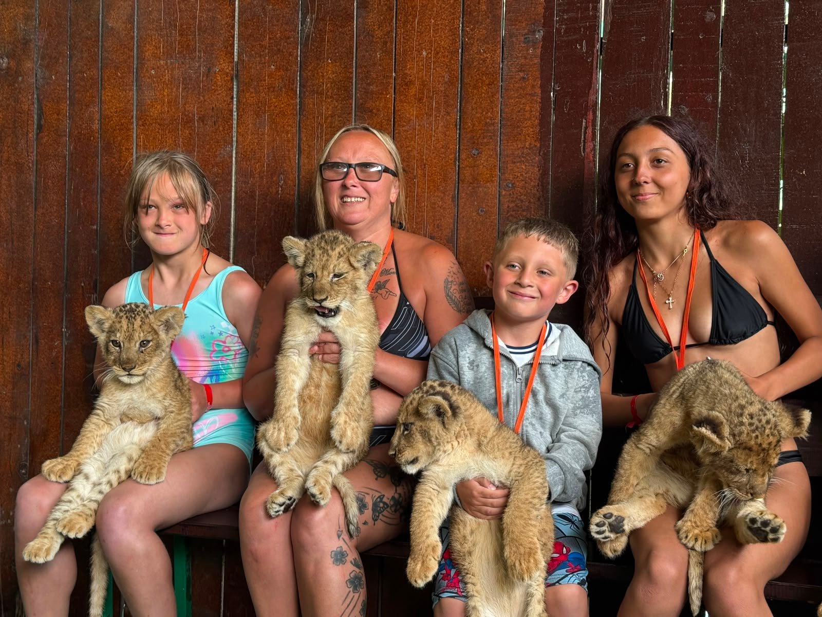 Land of Lion